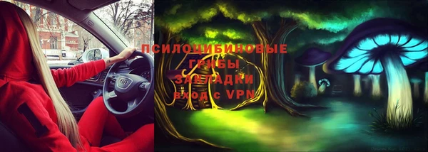 дурь Абинск