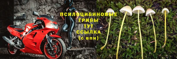 спайс Алзамай