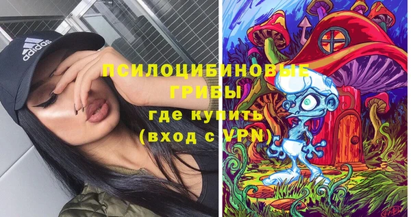 трава Абаза