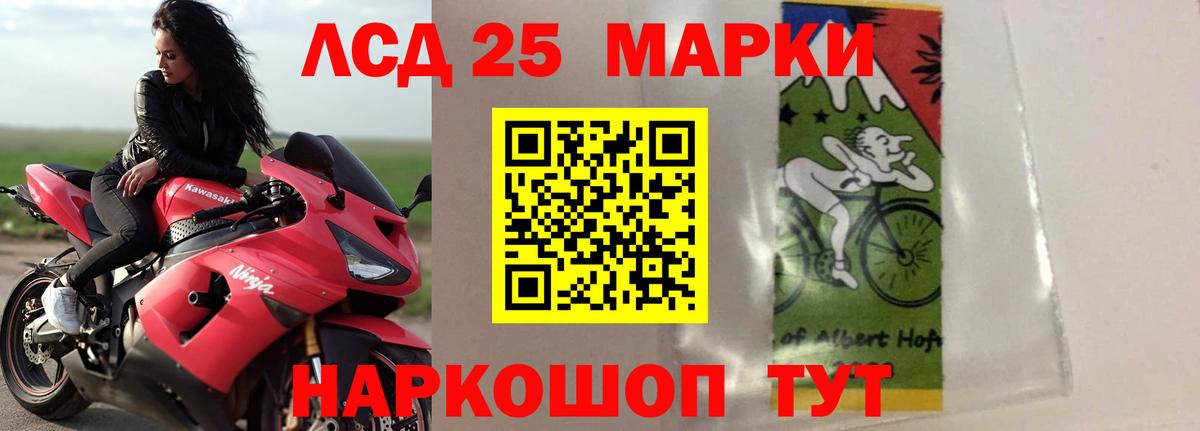 Псилоцибиновые грибы Дубна