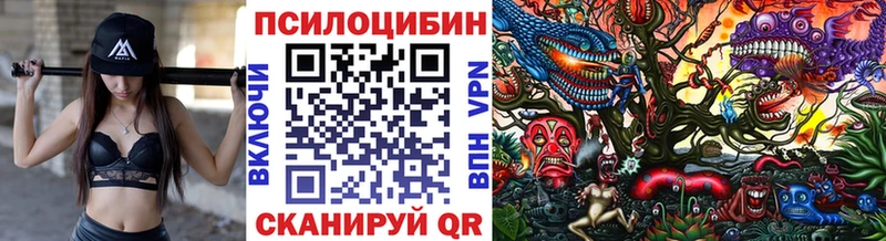 Галлюциногенные грибы прущие грибы  цены наркотик  Дубна 