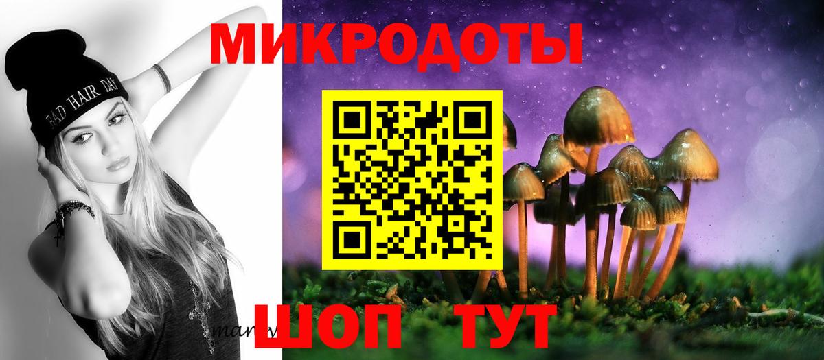 Дубна  Псилоцибиновые грибы Psilocybe  Галлюциногенные грибы мицелий  Вход с VPN 